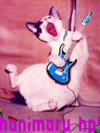 エレキギター猫