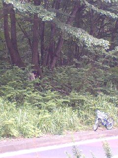 080703_1528~0001.jpg